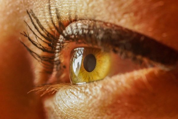 CBD and Eye Health: Exploring its Potential for Glaucoma and Other Conditions